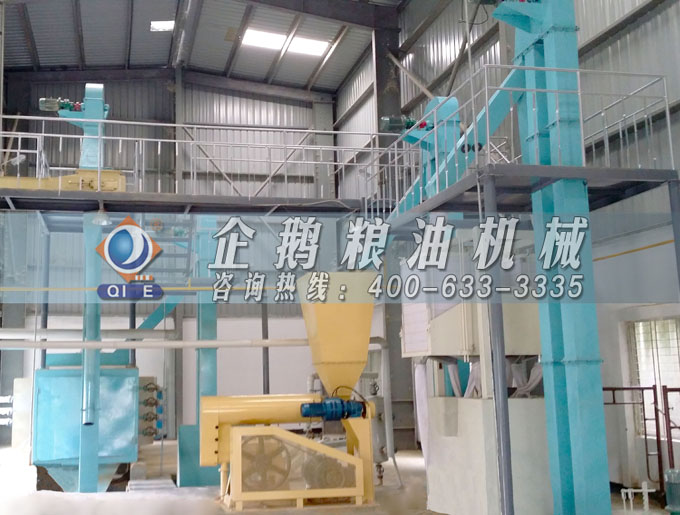 如何投資建設(shè)棕櫚油加工廠？企鵝糧油機械在線為您答疑解惑(圖4)