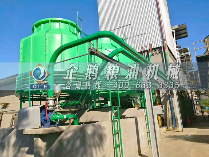 如何投資建設(shè)棕櫚油加工廠？企鵝糧油機械在線為您答疑解惑(圖3)
