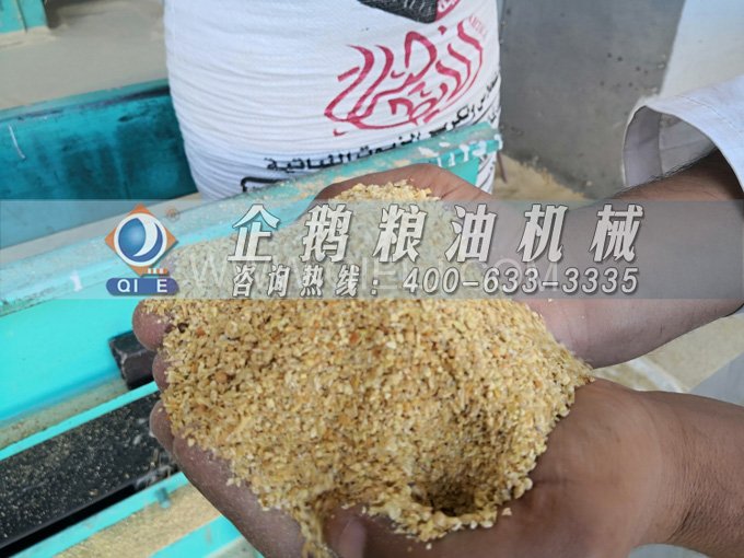 米糠油精煉設(shè)備，企鵝機械不斷創(chuàng)新提升工藝效果(圖2)